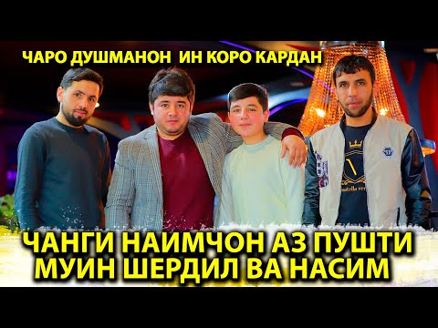 Видео: Чанги Наимчон Аз пушти Муин Шердил Насим. Чаро Душманон Ин Кора кардан.