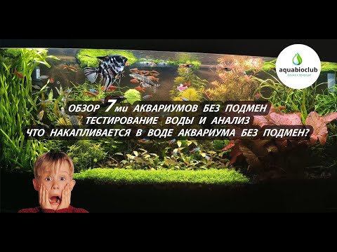 Видео: Обзор 7ми аквариумов без подмен и анализ тестов воды.