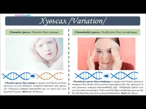 Видео: Удамшил