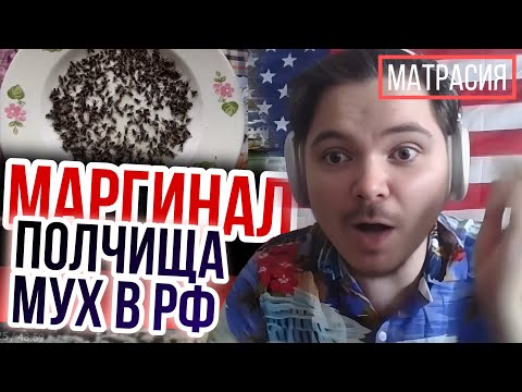 Видео: Маргинал смотрит как мухи в РФ пожирают людей