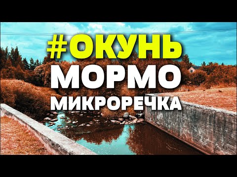 Видео: #64 ОКУНИ повсюду! | МИКРОРЕЧКА | #мормышинг #nanojig #fishing #рыбалка