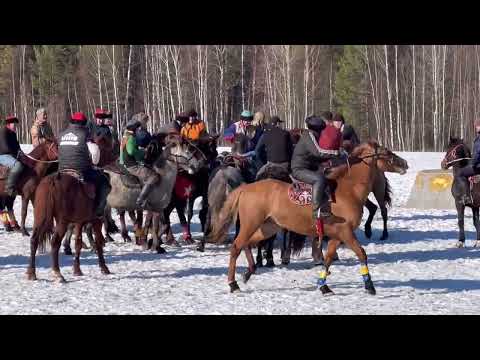 Видео: Москва аламан улак🇰🇬🔥🐎