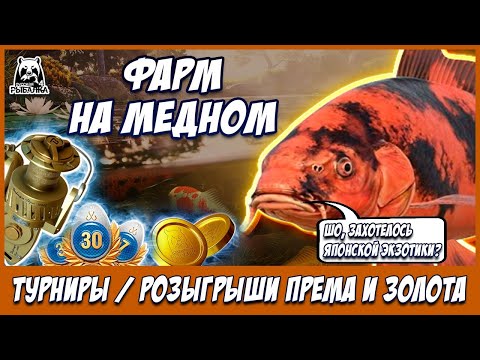 Видео: МЕДНОЕ РАЗДАЁТ ?💥НЕПРОПУСТИ РОЗЫГРЫШИ💥КАТУШКИ ЗОЛОТО ПРЕМЫ 🔴 РУЛЕТКИ КАЖДЫЕ 20 Минут 🎁 #СТРИМ #РР4