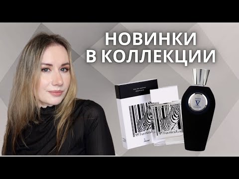 Видео: НОВИНКИ В КОЛЛЕКЦИИ | ТА САМАЯ ЗЕБРА