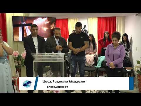 Видео: НА ЖИВО