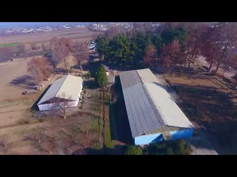 Видео: Уртабуз 15-мактаб видео 4к форматда