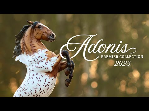 Видео: Распаковка Breyer Premier club Adonis!