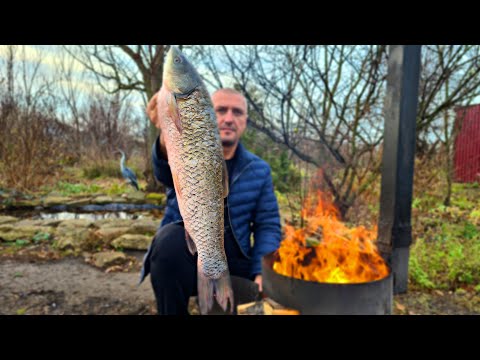 Видео: РЫБУ НЕ ЖАРЬ, ПОКА НЕ ПОСМОТРИШЬ! БЕЛЫЙ АМУР НА МАНГАЛЕ. ШАШЛЫК ИЗ РЫБЫ. ENG SUB