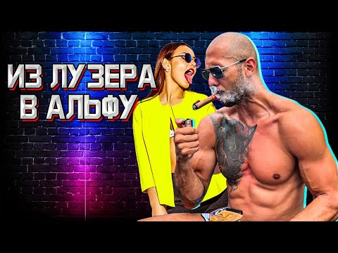 Видео: Эндрю Тейт - Из НЕУДАЧНИКА в АЛЬФУ! ЗОЛОТЫЕ ПРАВИЛА для каждого МУЖЧИНЫ!