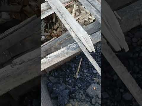 Видео: 8 октября 2025 г.
