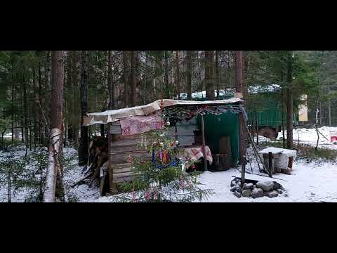 Видео: Что только не встретишь в лесу. Рабочие будни.