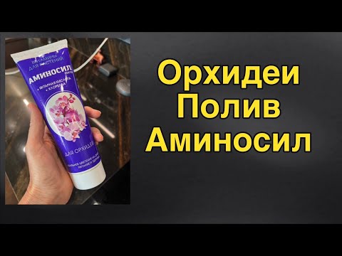 Видео: 🔴 Прямой эфир: рост, здоровье, цветение орхидей!