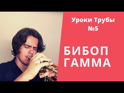 Видео: Уроки Трубы №5  Как Импровизировать  Уровень Новичок #3 Что такое бибоп гаммы