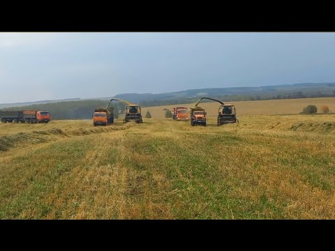 Видео: Заготовка сенажа 2024