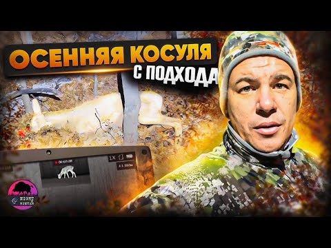 Видео: БЫСТРАЯ ОХОТА | НОВОГОДНИЙ РОЗЫГРЫШ