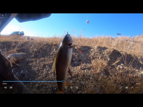 Видео: Первый раз на Кальджир