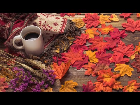Видео: ПУСТЫЕ БАНОЧКИ В КОНЦЕ СЕНТЯБРЯ🍁2025