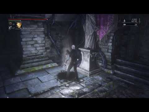 Видео: стрим