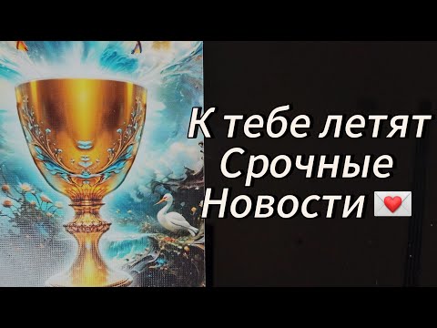 Видео: СРОЧНО ‼️ К ТЕБЕ ЛЕТЯТ ВАЖНЫЕ НОВОСТИ ‼️💌❤️‍🔥