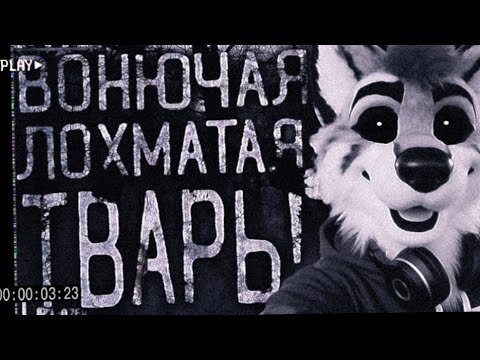 Видео: ВОНЮЧАЯ ЛОХМАТАЯ ФУРРИ!!! | МГЕ СТРАШИЛКА