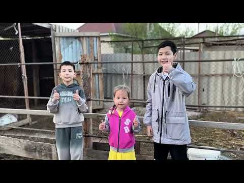 Видео: “Бақытты отбасы” республикалық сайысы . Нұр орда бөбекжай бақшасы