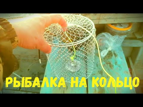 Видео: рыбалка на кольцо река ВЫЧЕГДА