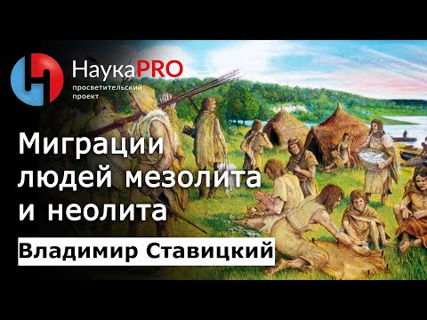 Видео: Миграции людей эпох мезолита и неолита – археолог Владимир Ставицкий | Научпоп