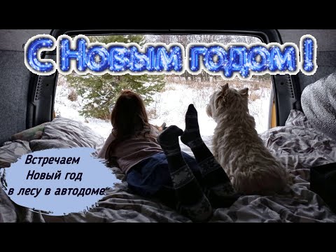 Видео: Встреча Нового года в автодоме из Газели 4х4. #автодом#новый_год