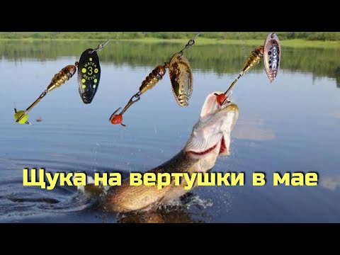 Видео: ЩУКА НА ВЕРТУШКУ В МАЕ.Рыбалка на спиннинг с берега на озере.(В этой луже ЕСТЬ рыба!!!)
