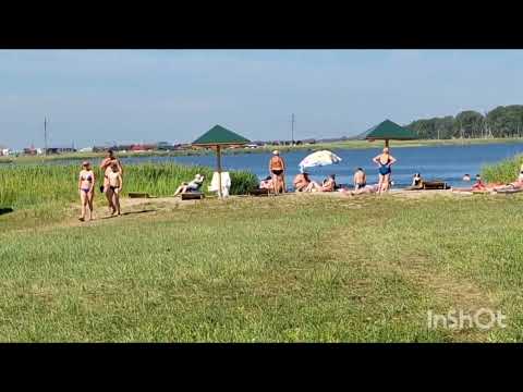 Видео: Озёра Алтая. Отдохнули в Завьялово на лечебных озёрах.