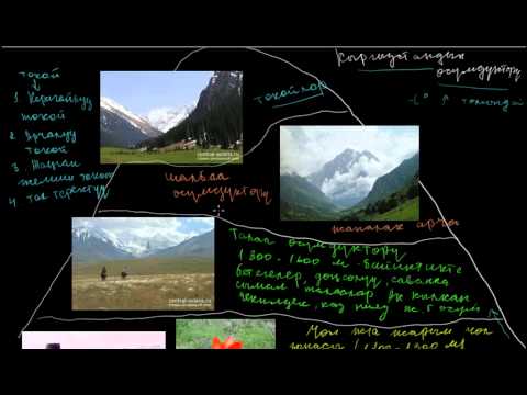 Видео: Кыргызстандын өсүмдүктөрү