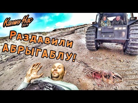 Видео: Мишаня задавил АБРЫГАБЛУ! Что такое ТЕРМОКАРСТЫ? Как едут ВЕЗДЕХОДЫ по краю земли и не падают! ч12