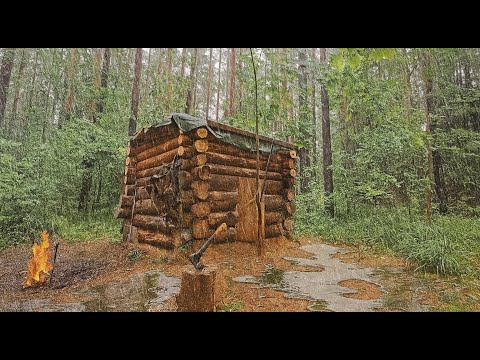 Видео: ПОГОДА ЛЮТУЕТ. ЗАТОПИЛО ЛИ ИЗБУ? ПРОПАЛА СОБАКА. ПЕРВЫЕ ГРИБЫ. БОРЬБА С МУРАВЬЯМИ. ДИКАЯ КУХНЯ!