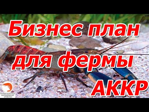 Видео: Что нужно знать для создания бизнес плана для фермы АККР