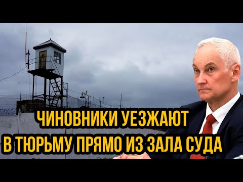 Видео: Арест за арестом. Чиновники уезжают в тюрьму прямо из зала суда, после назначения Белоусова!