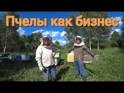 Видео: пчелы как бизнес // качаем майский мед