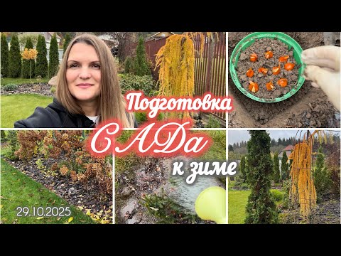 Видео: Подготовка сада к зиме: уборка листвы, пересадка растений и посадка луковичных