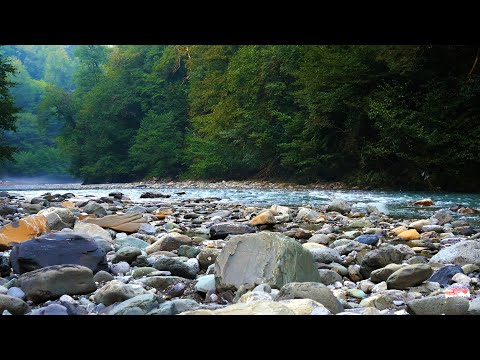 Видео: Красивая горная река. Расслабляющие звуки природы, шум воды, голоса птиц