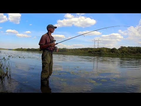 Видео: НАШЁЛ СТАЮ КРУПНОЙ РЫБЫ. Рыбалка на ОКЕ с ОТВОДНЫМ ПОВОДКОМ.