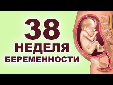 Видео: Что происходит с ребенком и мамой на 38 неделе беременности? 9 месяц беременности. Третий триместр.