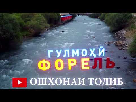Видео: ГУЛМОХИ ФОРЕЛ КАРАТОГ. МАРХАМАТ БА ОШХОНАИ ТОЛИБ 2023.ТЕЛ:+992905552428
