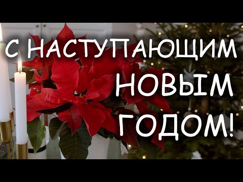 Видео: С Наступающим Новым Годом!