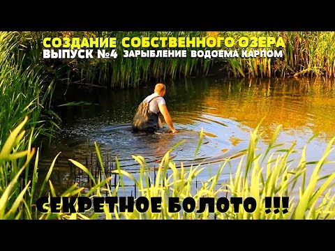 Видео: #4 СОЗДАНИЕ СОБСТВЕННОГО ПРУДА | Море карпа в СЕКРЕТНОМ БОЛОТЕ