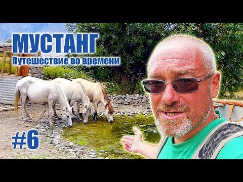 Видео: Деревня где живут только лошади - МУСТАНГ: Путешествие во времени. Часть #6