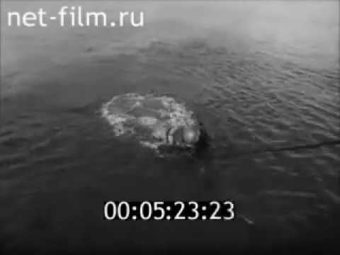 Видео: Прокладка подводных трубопроводов 1987