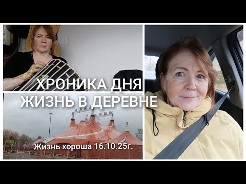 Видео: ХРОНИКА ДНЯ _ ЖИЗНЬ В ДЕРЕВНЕ _ ЖИЗНЬ ХОРОША 16.10.25г