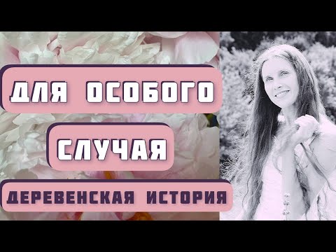 Видео: ДЛЯ ОСОБОГО СЛУЧАЯ. Автор рассказа - Анастасия Астафьева, читает Светлана Копылова