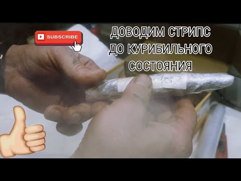 Видео: Доводим стрипс до КУРИБИЛЬНОГО состояния