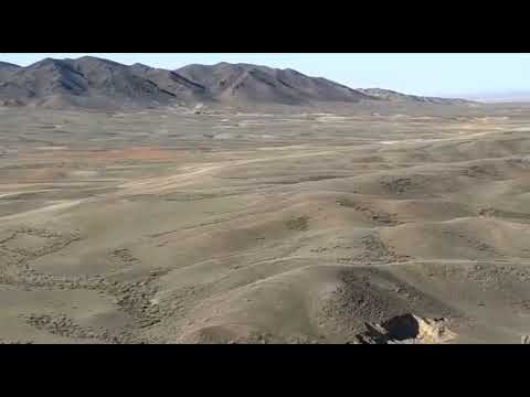 Видео: Қарабай құсы Тарбағатай тауларында.Бестерек.Қарабай ұясы.