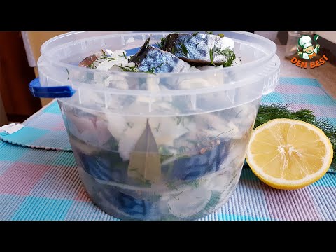 Видео: САГУДАЙ. Теперь СОЛЮ СКУМБРИЮ по рецепту товарища с КРАЙНЕГО СЕВЕРА. Вкуснее красной.